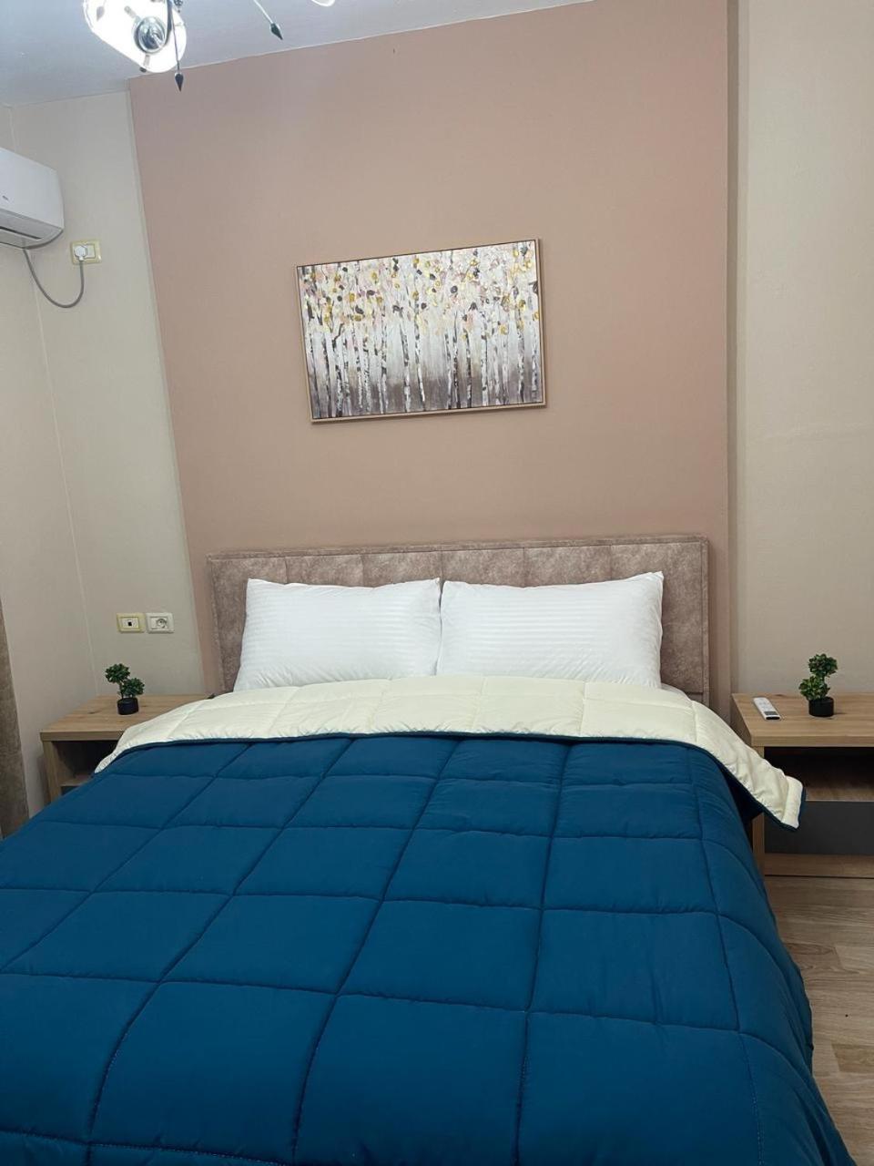 Comfort Apartment City Center تيرانا المظهر الخارجي الصورة